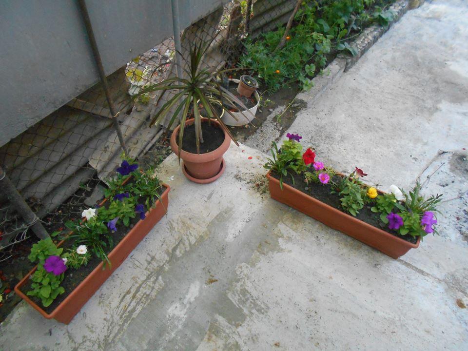 Guesthouse On Benashvili Tiflis Dış mekan fotoğraf